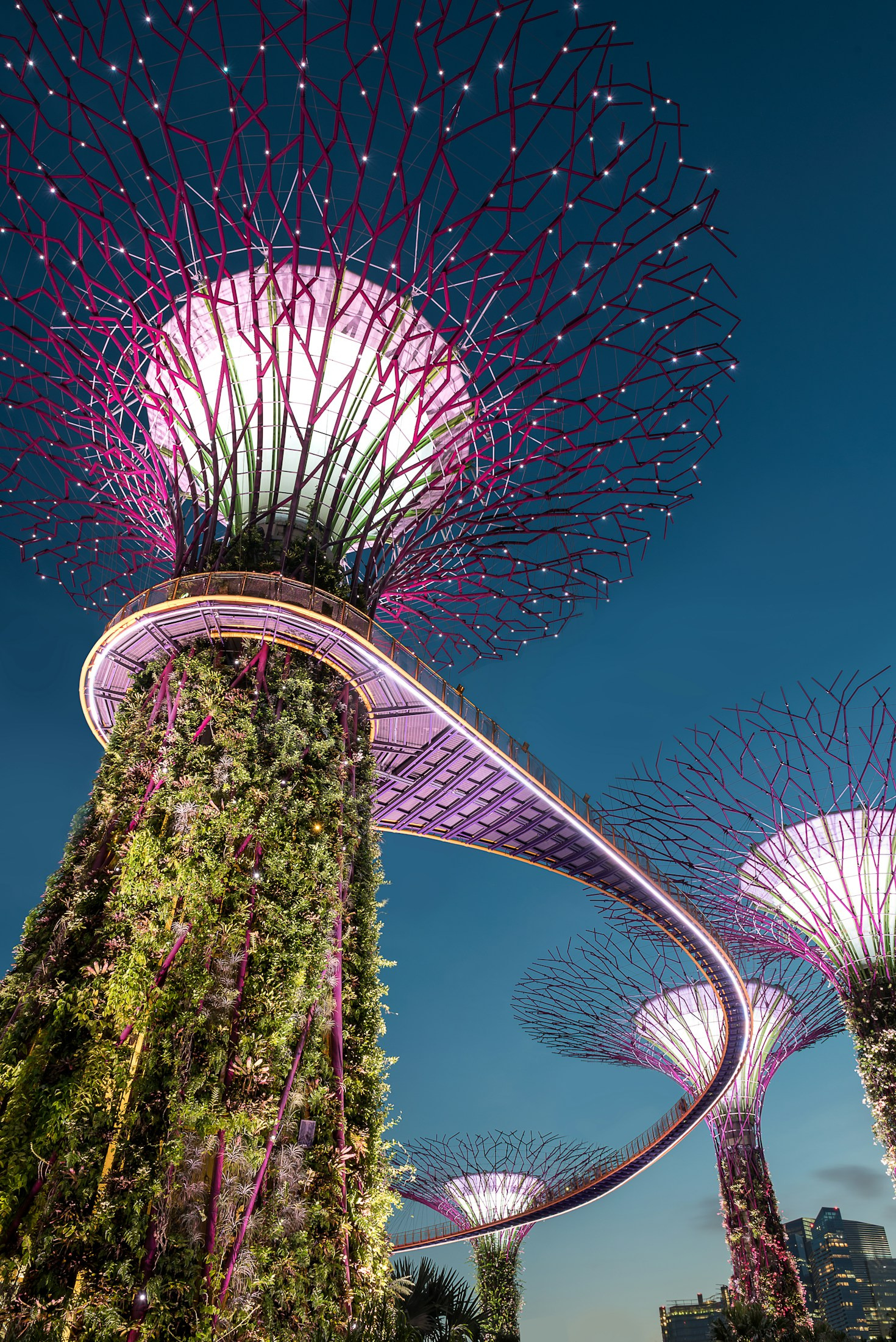 Insights into Global Trading Success Stories